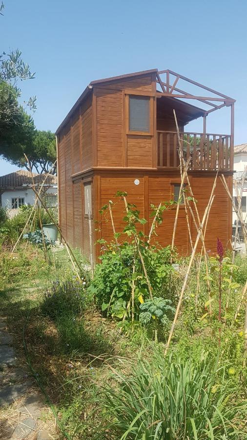 Casa De Madera De Sancti Petri Villa Chiclana de la Frontera Exterior photo